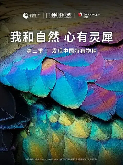 我和自然 心有灵犀 第三季