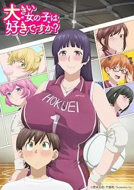 高大的女孩子你喜欢吗海报