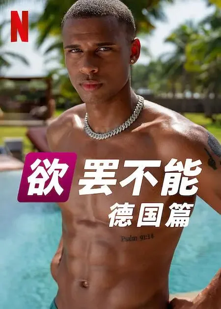 欲罢不能：德国篇海报